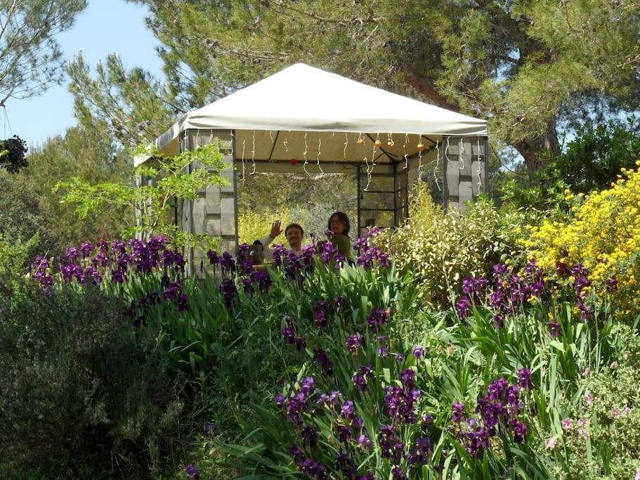 L'Oliveraie En Provence Lambesc Extérieur photo
